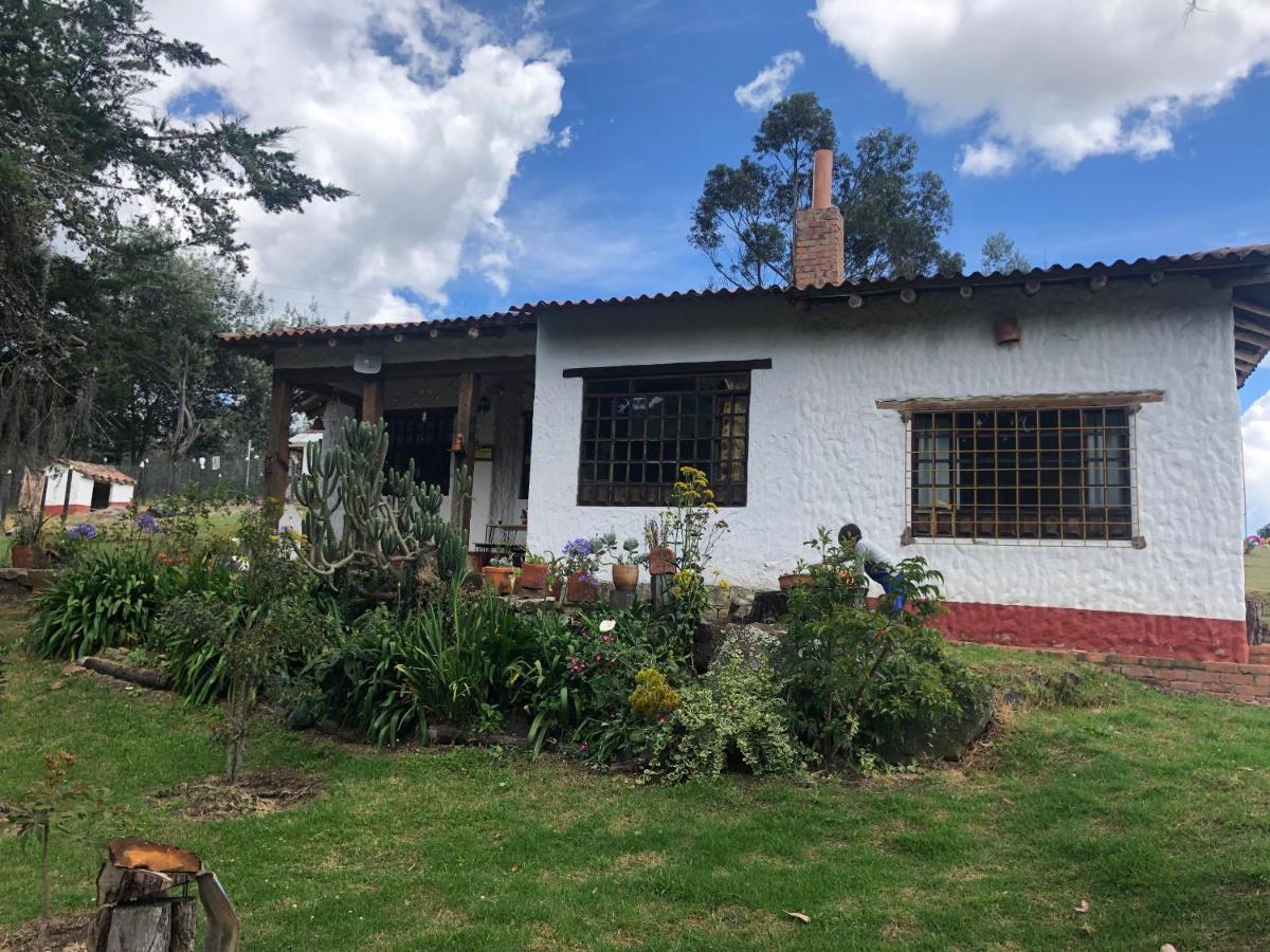El Pedregal
